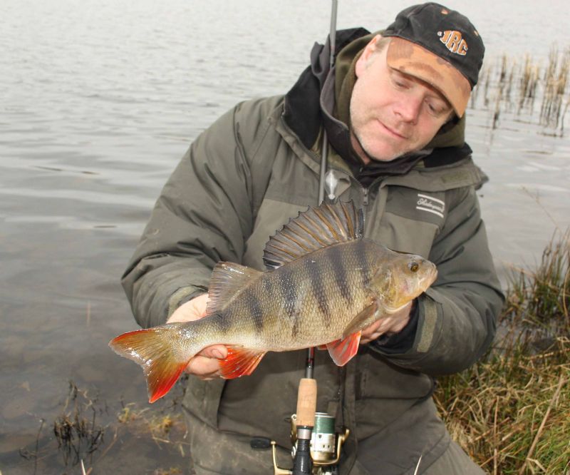 Shakespeare Agility Barbel Specimen Rod Perch dead-bait